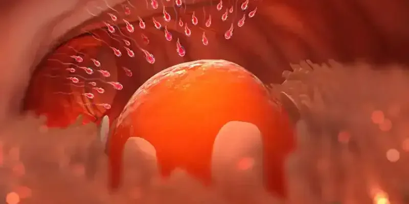 Yumurtlama Bozuklugu Tedavisi