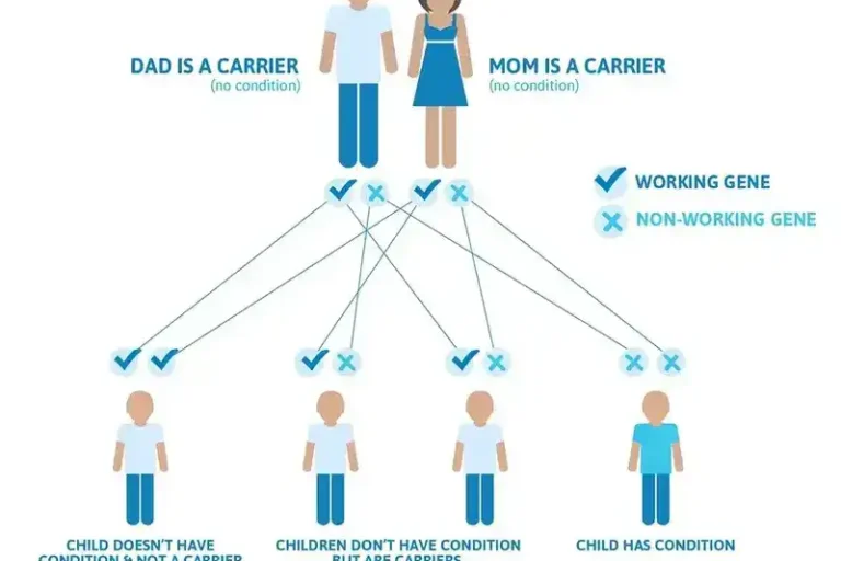 Genetik Taşıyıcılık Testi