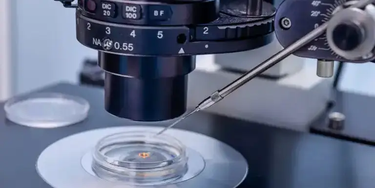 Kapsamlı Genetik Tarama