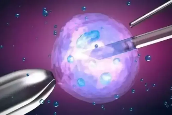 Tüp Bebek Başarısızlığı Sonrası