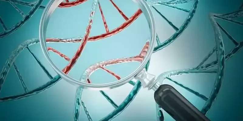 Genetik inceleme ve Tüp Bebek