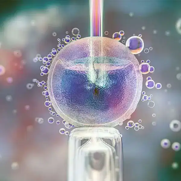 Tüp Bebek Tedavisi 2 Tüp Bebek Tedavisi IVF 2024