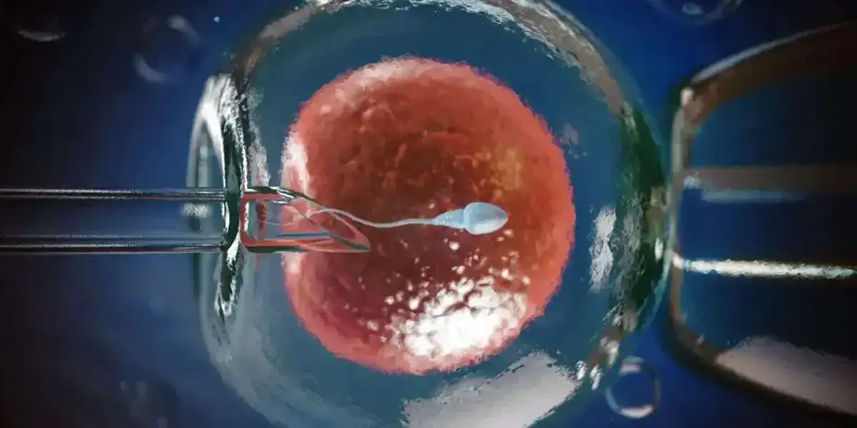 What Should I Do If IVF Failed?