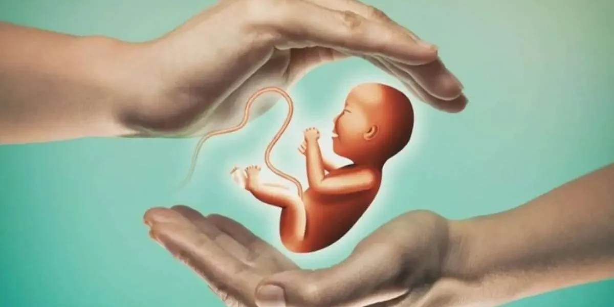 When to Apply for IVF Treatment?