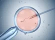 IVF Treatment Istanbul Turkey