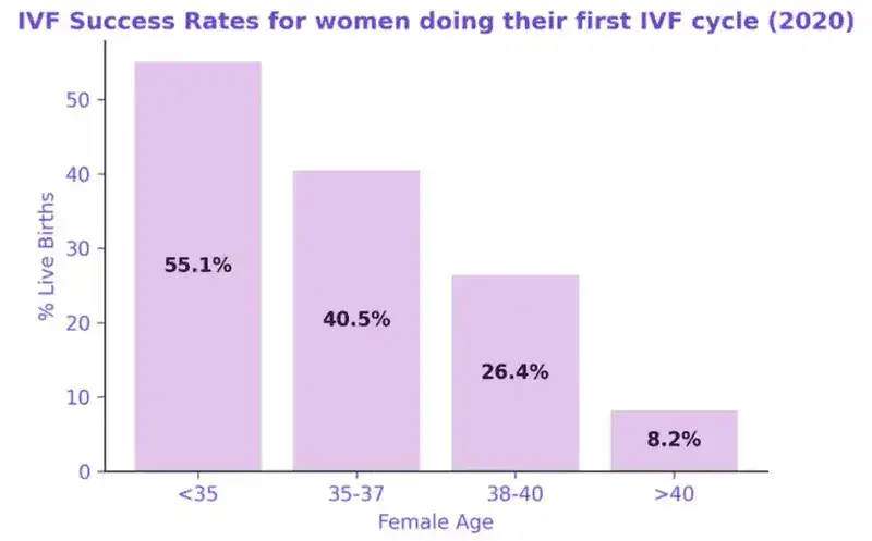IVF Treatment Istanbul Turkey success rates