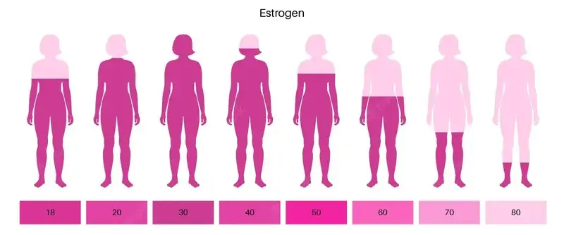 Menopause Symptoms