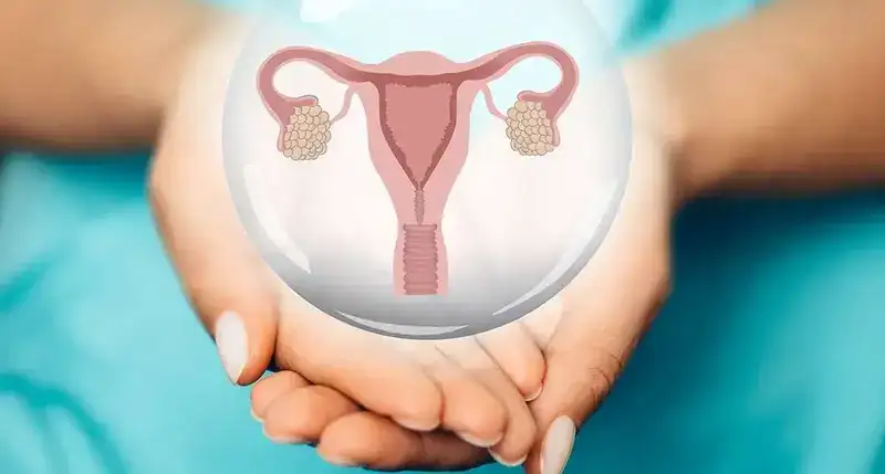 Uterine Resting in IVF