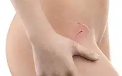 2 Weeks Pregnant Week by Week Pregnancy